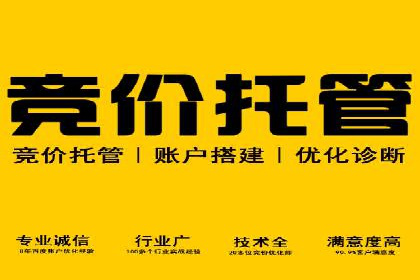 百度推广在旅游行业的应用案例